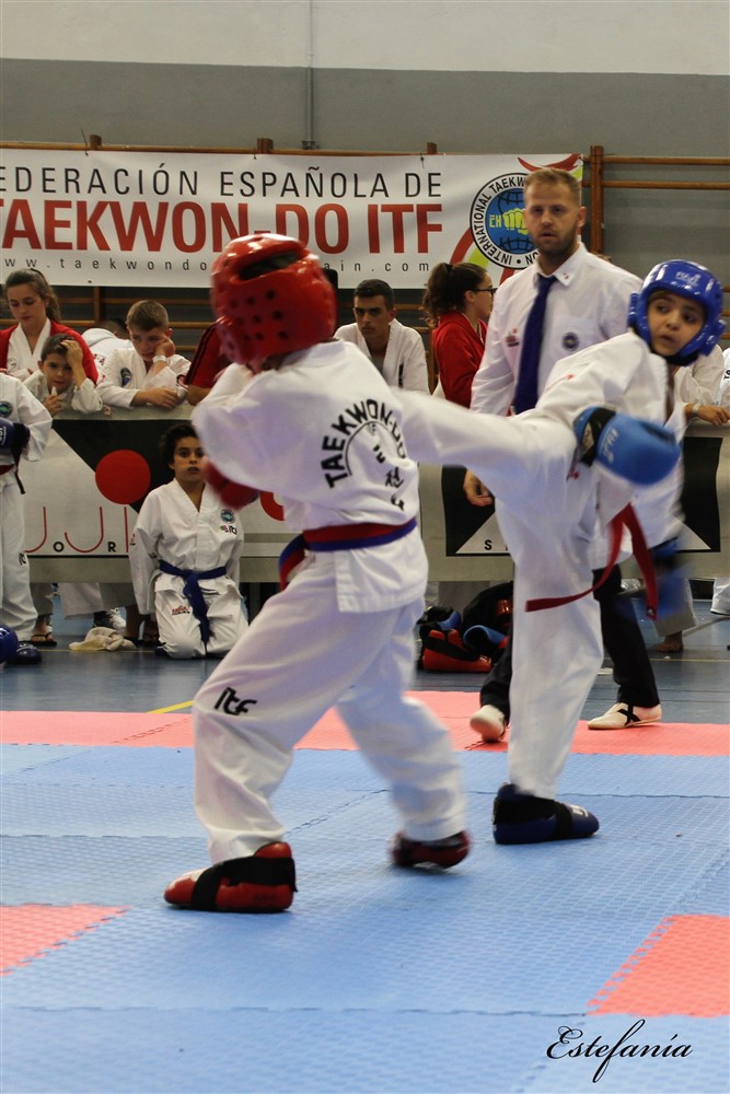 Copa Seul 2018 (523).jpg